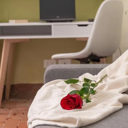 Millennial Walls Elegant Relax In Center *