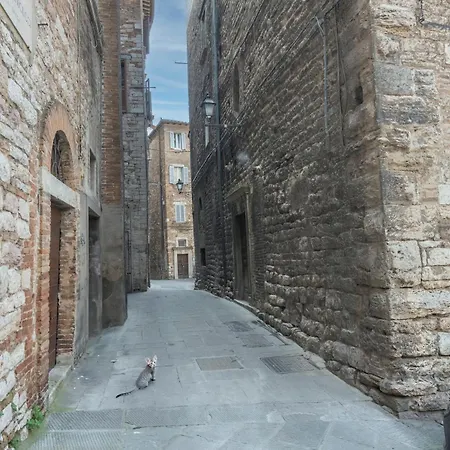 Millennial Walls Elegant Relax In Center